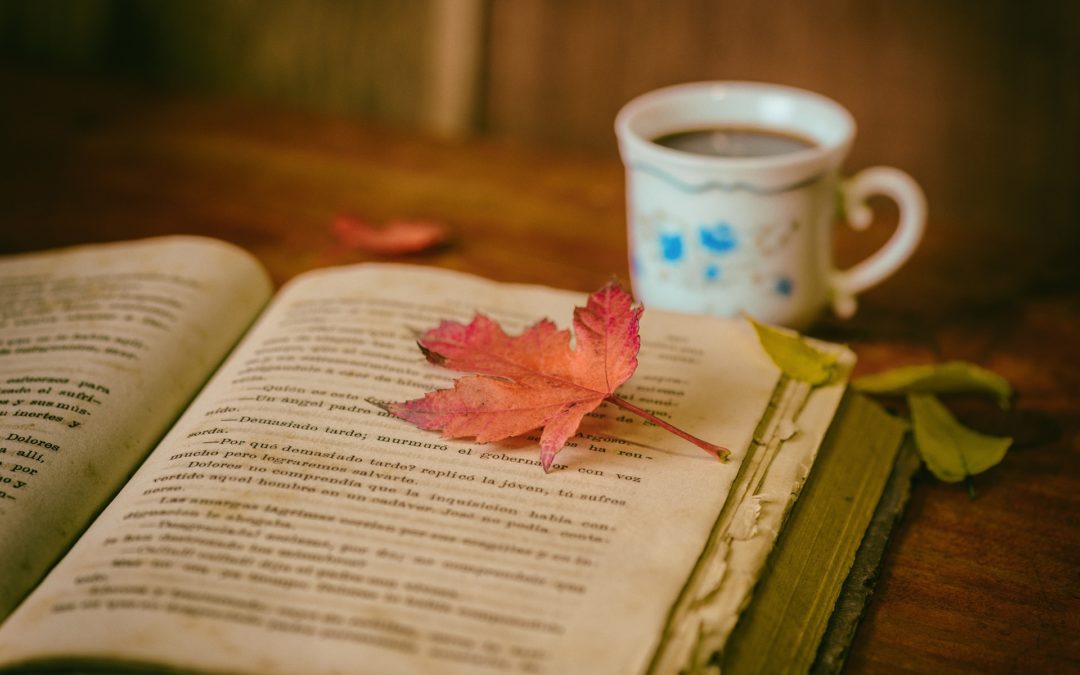Comfort reading